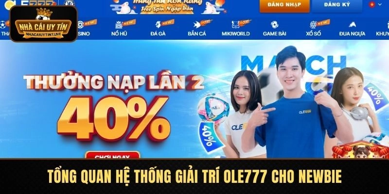 Tổng quan hệ thống giải trí OLE777 cho newbie